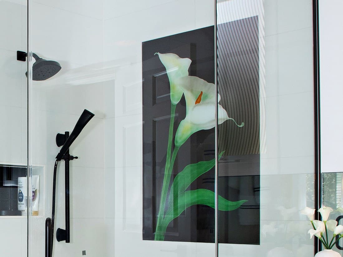 DECORATIVE GLASS PANEL (DW47)
