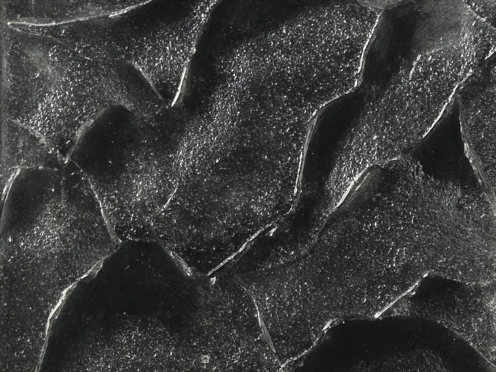 Decorative Glass Exotic Textures
